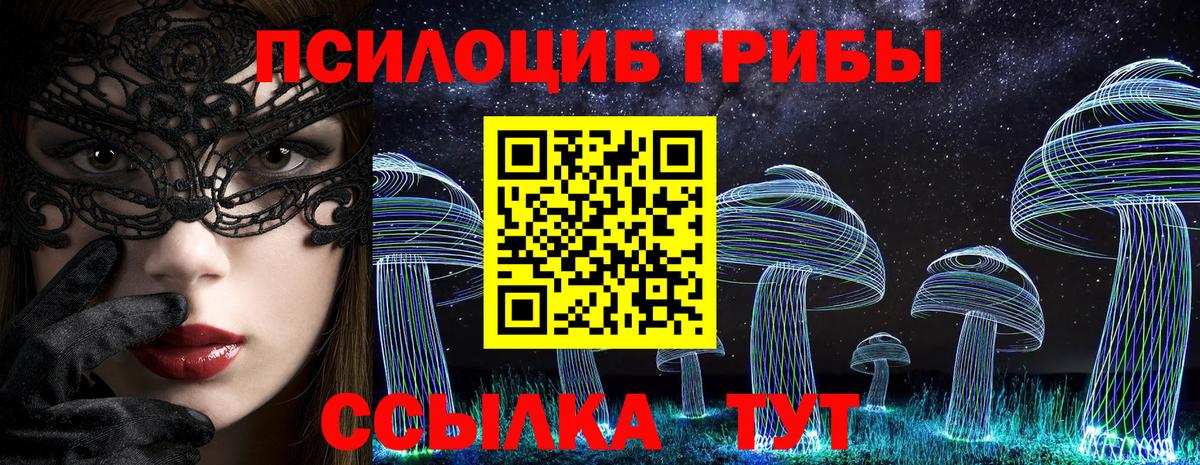 Дивногорск  Галлюциногенные грибы Psilocybine cubensis  Вход с VPN  Галлюциногенные грибы мухоморы 