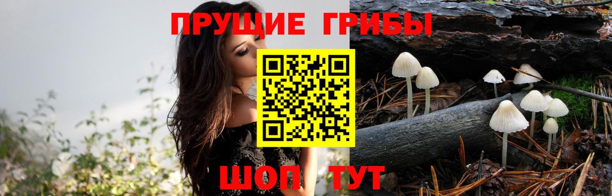 Галлюциногенные грибы мухоморы Дивногорск